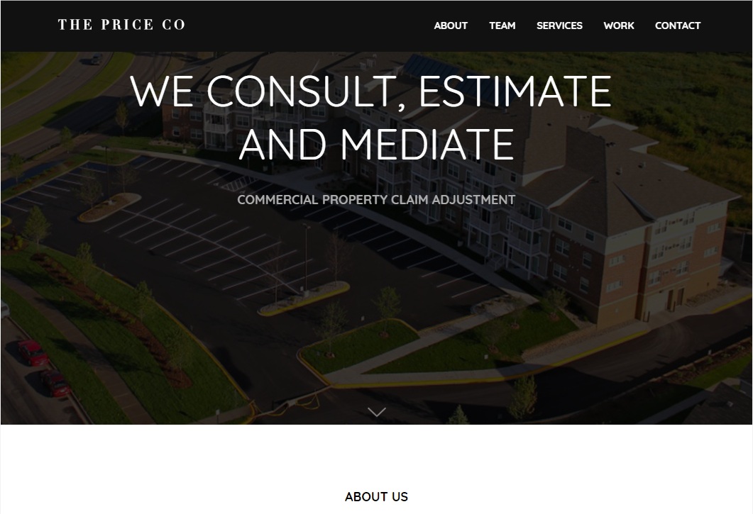 Professional Consulting Website